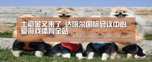 爱游戏体育