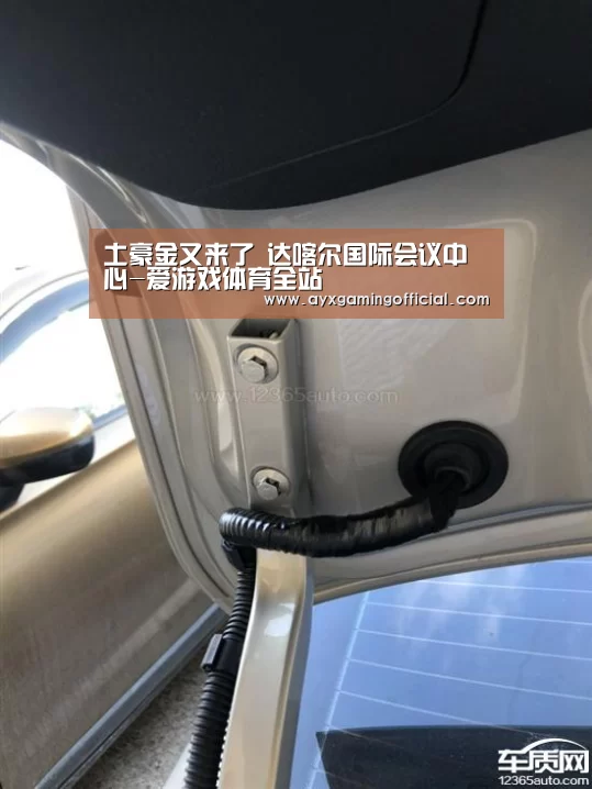 土豪金又来了 达喀尔国际会议中心-爱游戏体育全站(图2)