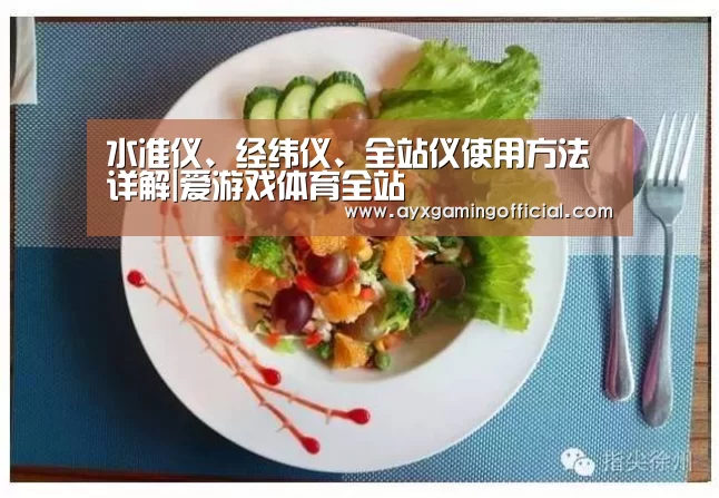 水准仪、经纬仪、全站仪使用方法详解|爱游戏体育全站(图2) 爱游戏体育全站