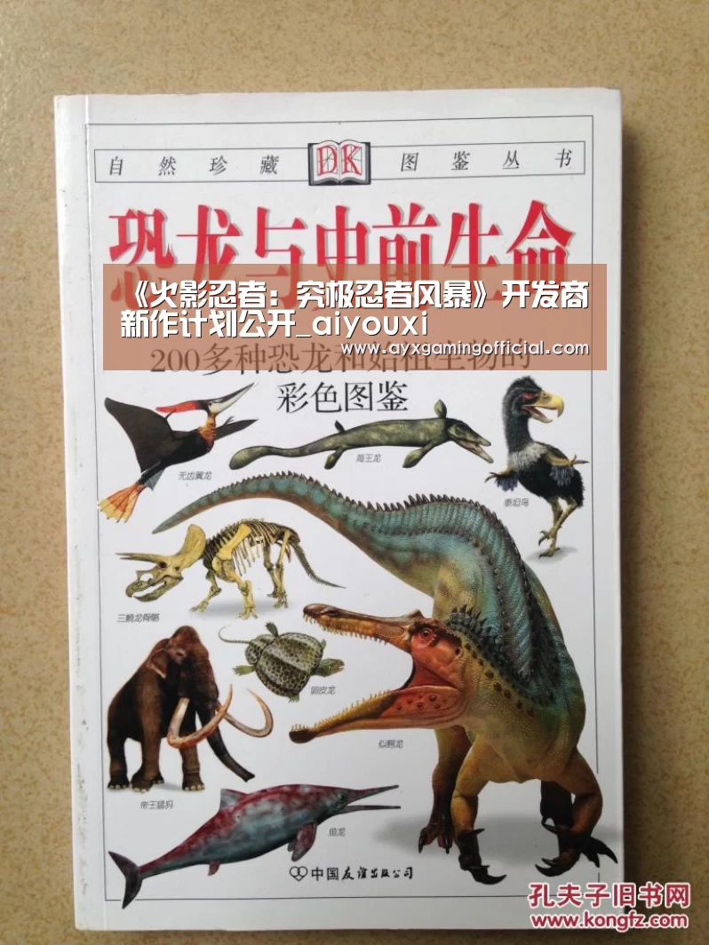 《火影忍者：究极忍者风暴》开发商新作计划公开_aiyouxi(图3)