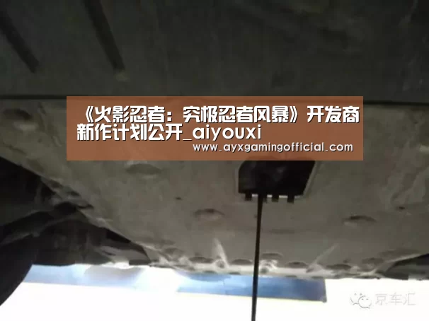 《火影忍者：究极忍者风暴》开发商新作计划公开_aiyouxi(图2)