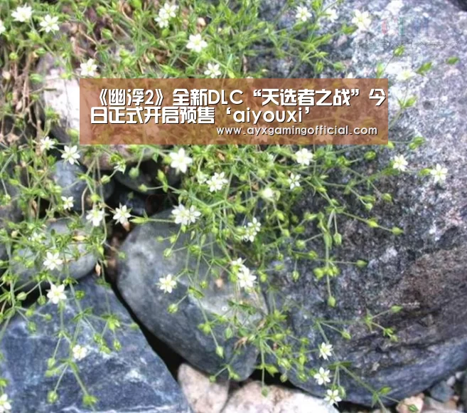 《幽浮2》全新DLC“天选者之战”今日正式开启预售‘aiyouxi’(图2)