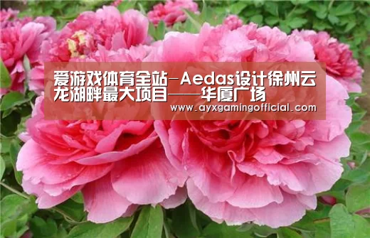 爱游戏体育全站-Aedas设计徐州云龙湖畔最大项目——华厦广场(图3) 爱游戏体育全站