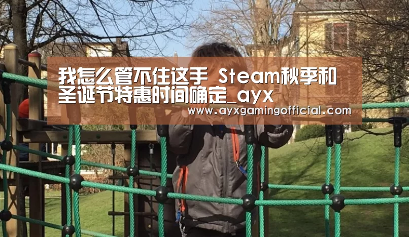 我怎么管不住这手 Steam秋季和圣诞节特惠时间确定_ayx(图2)